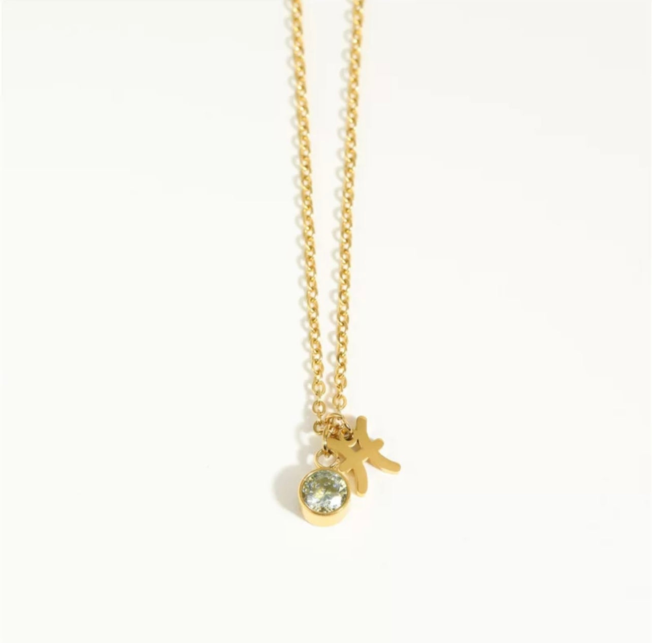 Zodiac Charm Necklace with Birthstone