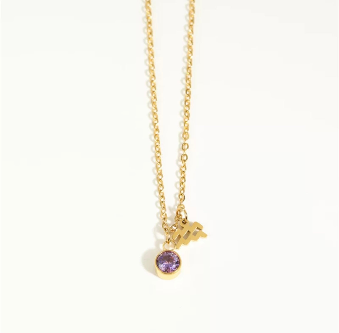 Zodiac Charm Necklace with Birthstone
