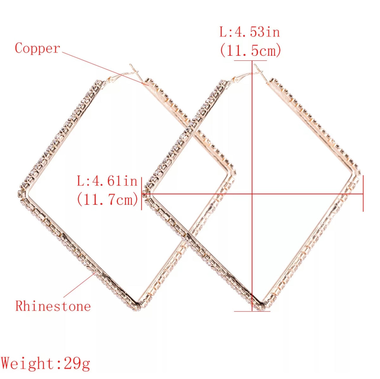 Ashley Diamond Bling Hoop Earrings