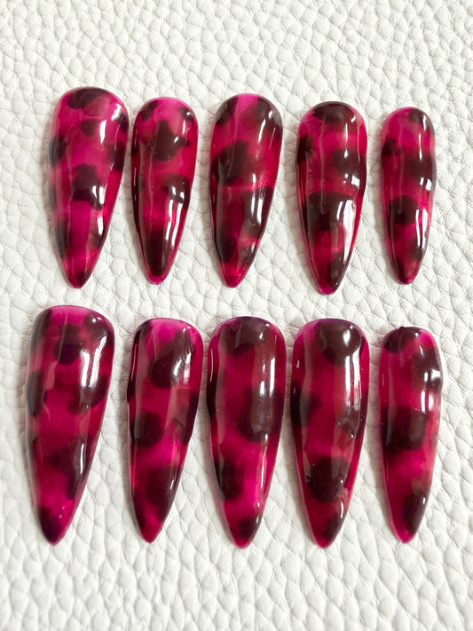Berry Glaze Tortie