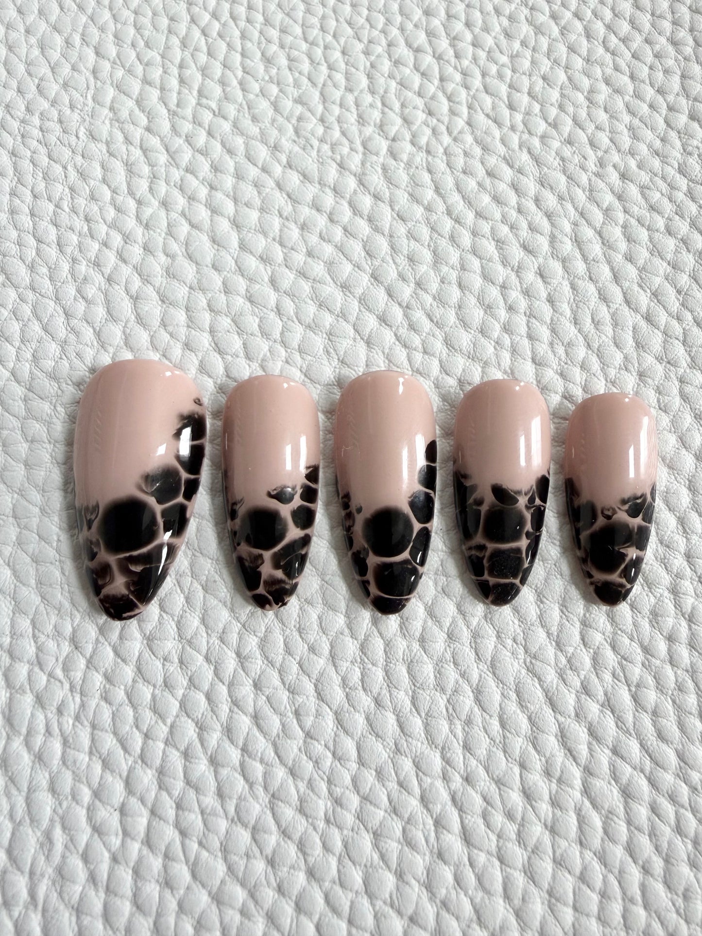 Noir Safari